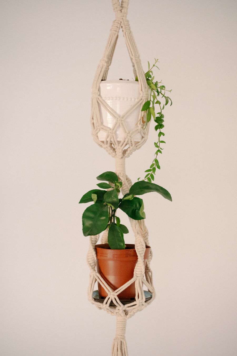 Macrame Hanging Plant Holder