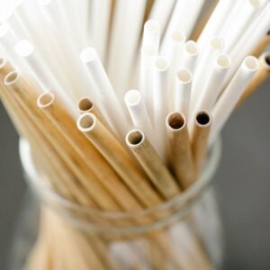 Reusable Drinking Straws